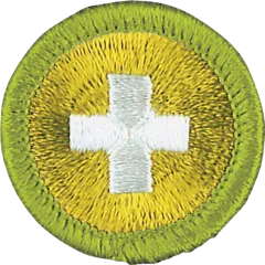 Supply, Demand, and the Scout Patch: Rethinking How Troops Manage Merit Badge Access